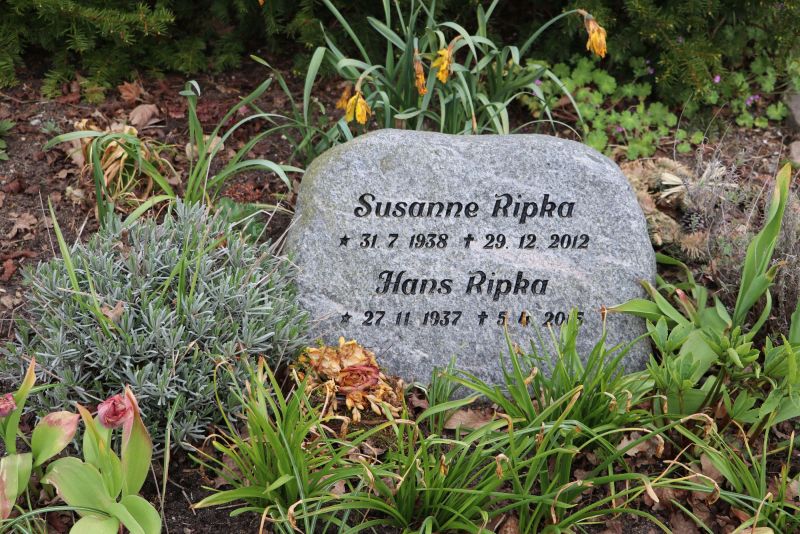 Hans Ripka.JPG
